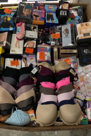 Assorted Women’s Underwear Pallet – 500 Pieces
