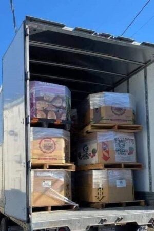 General Electronics Truckload